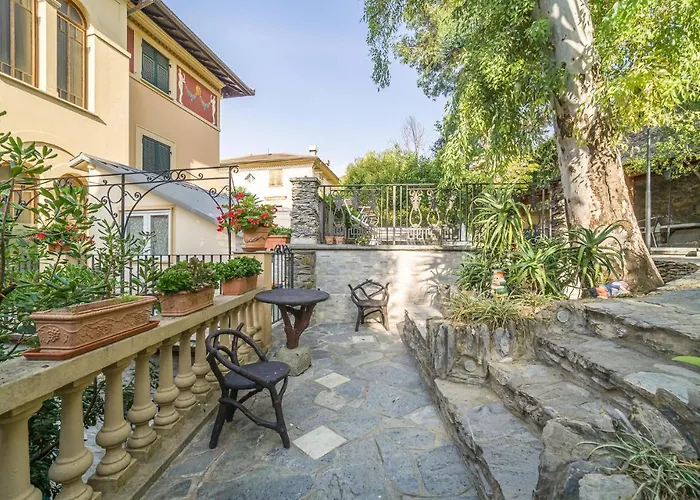 Mimosa 圣米歇尔迪帕加纳