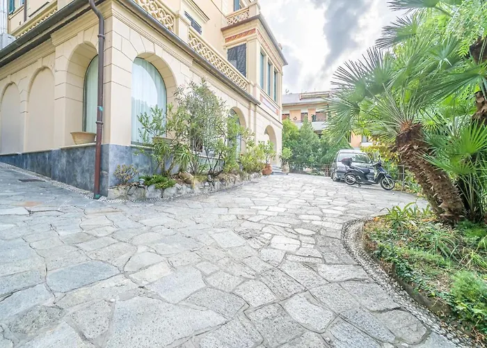 Mimosa * 圣米歇尔迪帕加纳