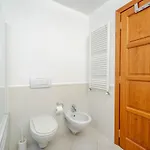Mimosa Daire