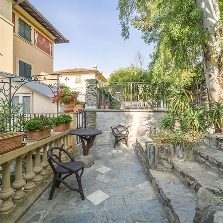 Mimosa San Michele di Pagana