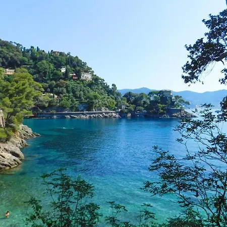 Mimosa Rapallo