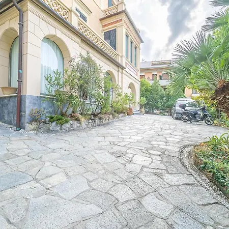 Mimosa * Rapallo