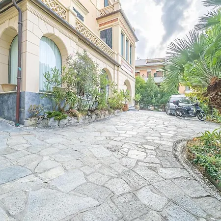 Mimosa * Rapallo